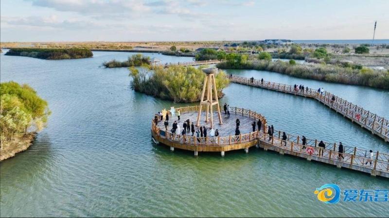 大呼过瘾 大呼过瘾