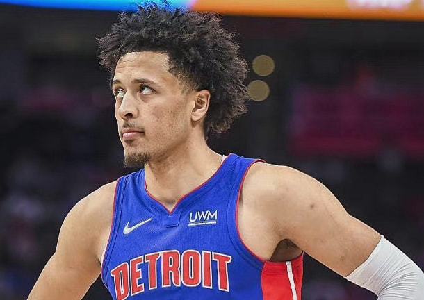 能有效组织 能有效组织